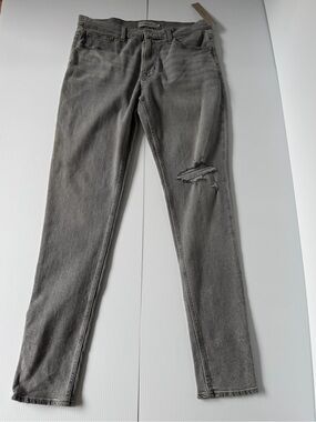 Hudson Jeans Men's Grey Slim Distressed Skinny